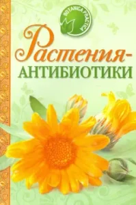 365 рецептов для души. Ежедневные послания вдохновения