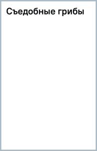 Водный Лабиринт: Эрик Фраттини