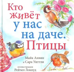 Красота жизни